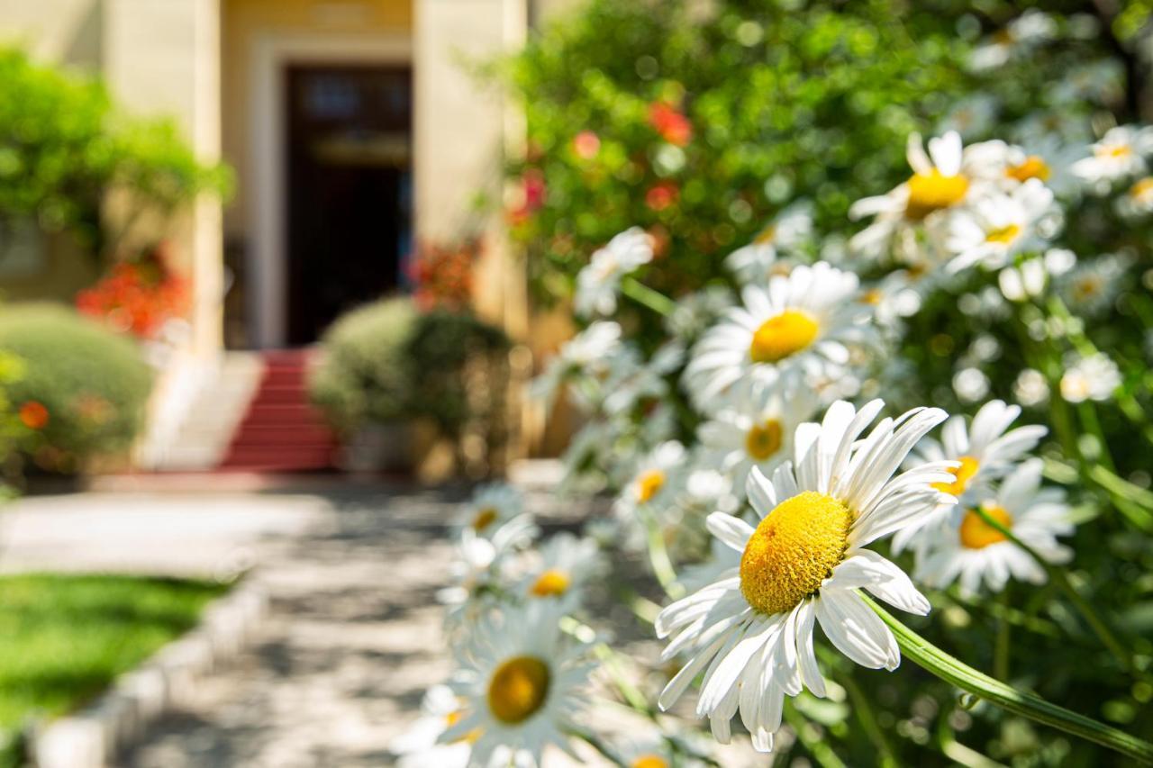 Hotel Villa Elisa & Spa Бордигера Экстерьер фото