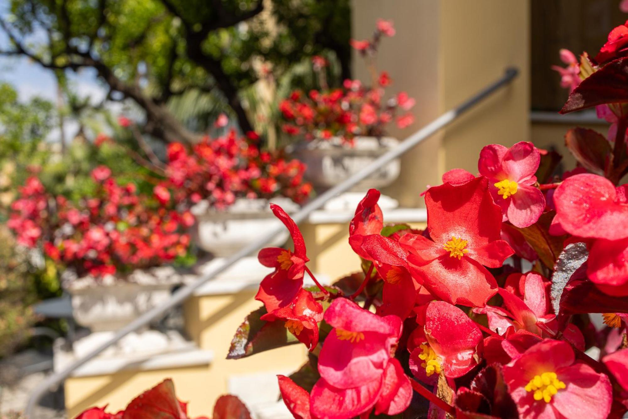 Hotel Villa Elisa & Spa Бордигера Экстерьер фото