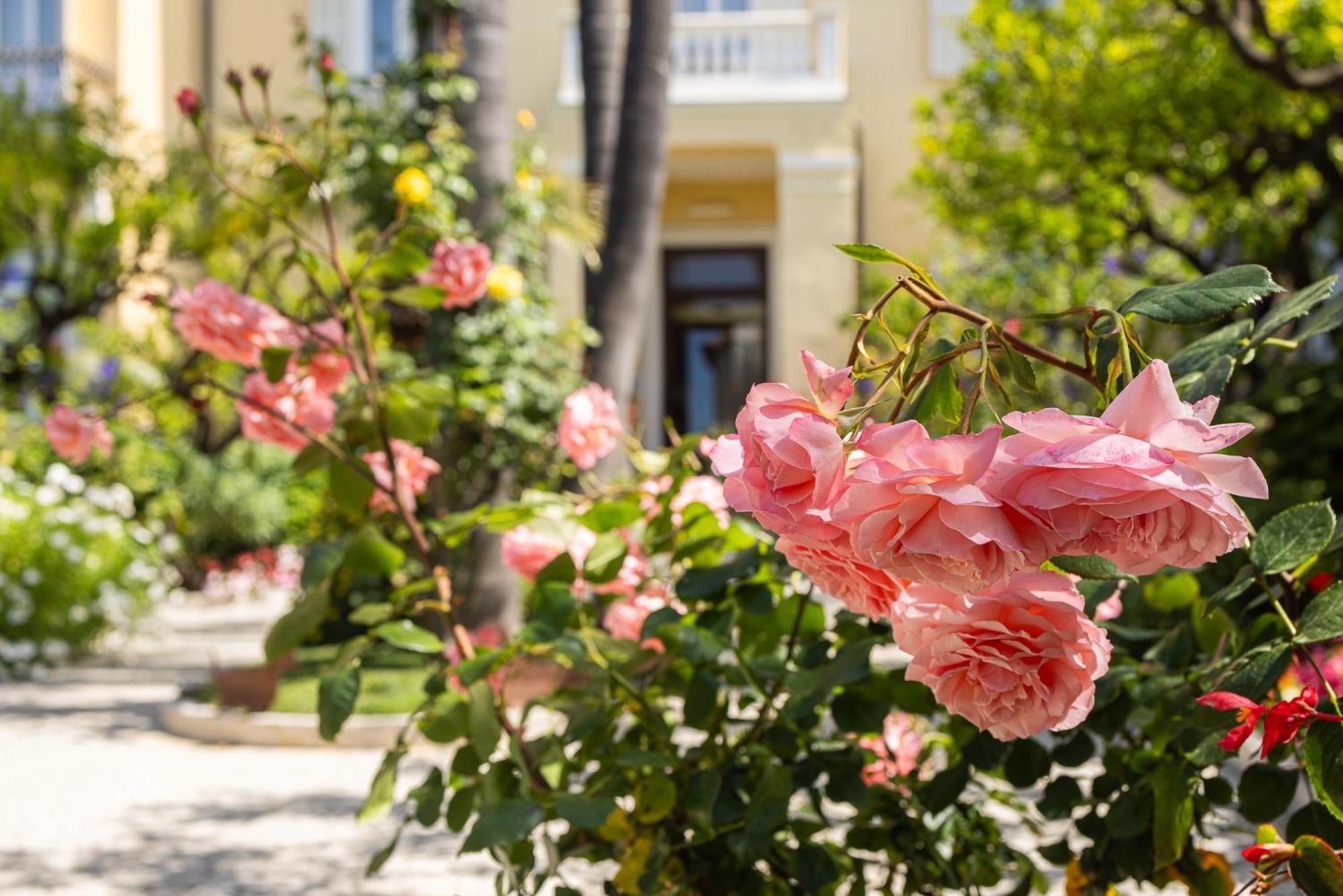 Hotel Villa Elisa & Spa Бордигера Экстерьер фото