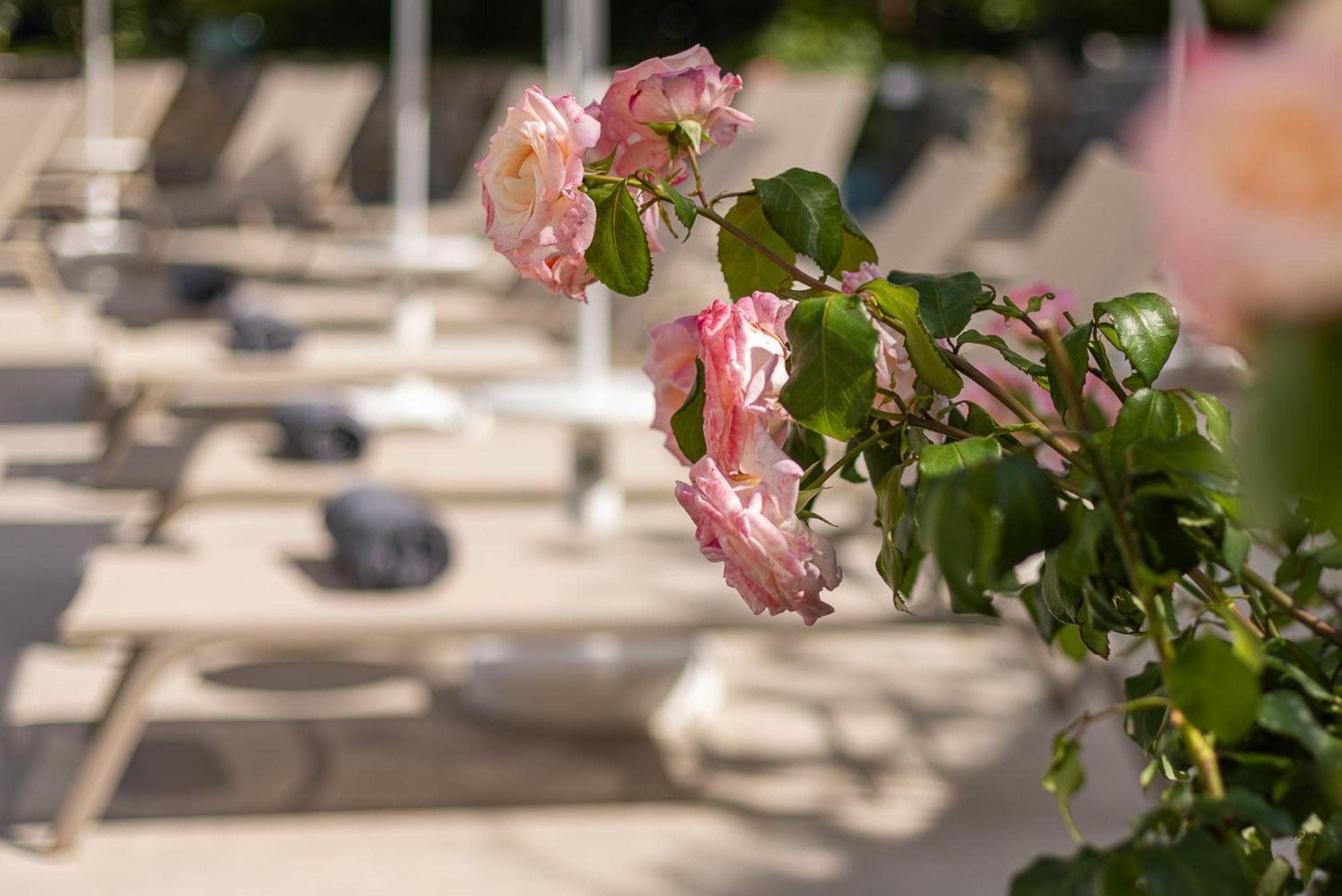 Hotel Villa Elisa & Spa Бордигера Экстерьер фото